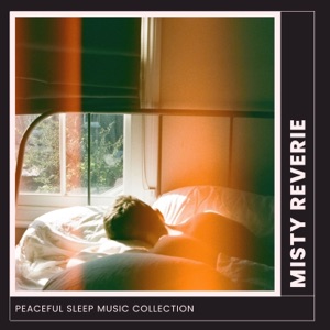 Misty Reverie: Peaceful Sleep