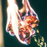 bounce back - Single - JAYJ & Jgriff