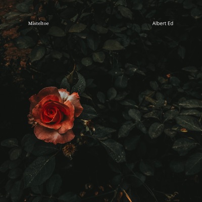 Mistletoe (Felted Piano) - Single