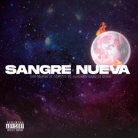 Sangre Nueva - Single - DE ERRE, Iddii, Ander MAI & Ketti