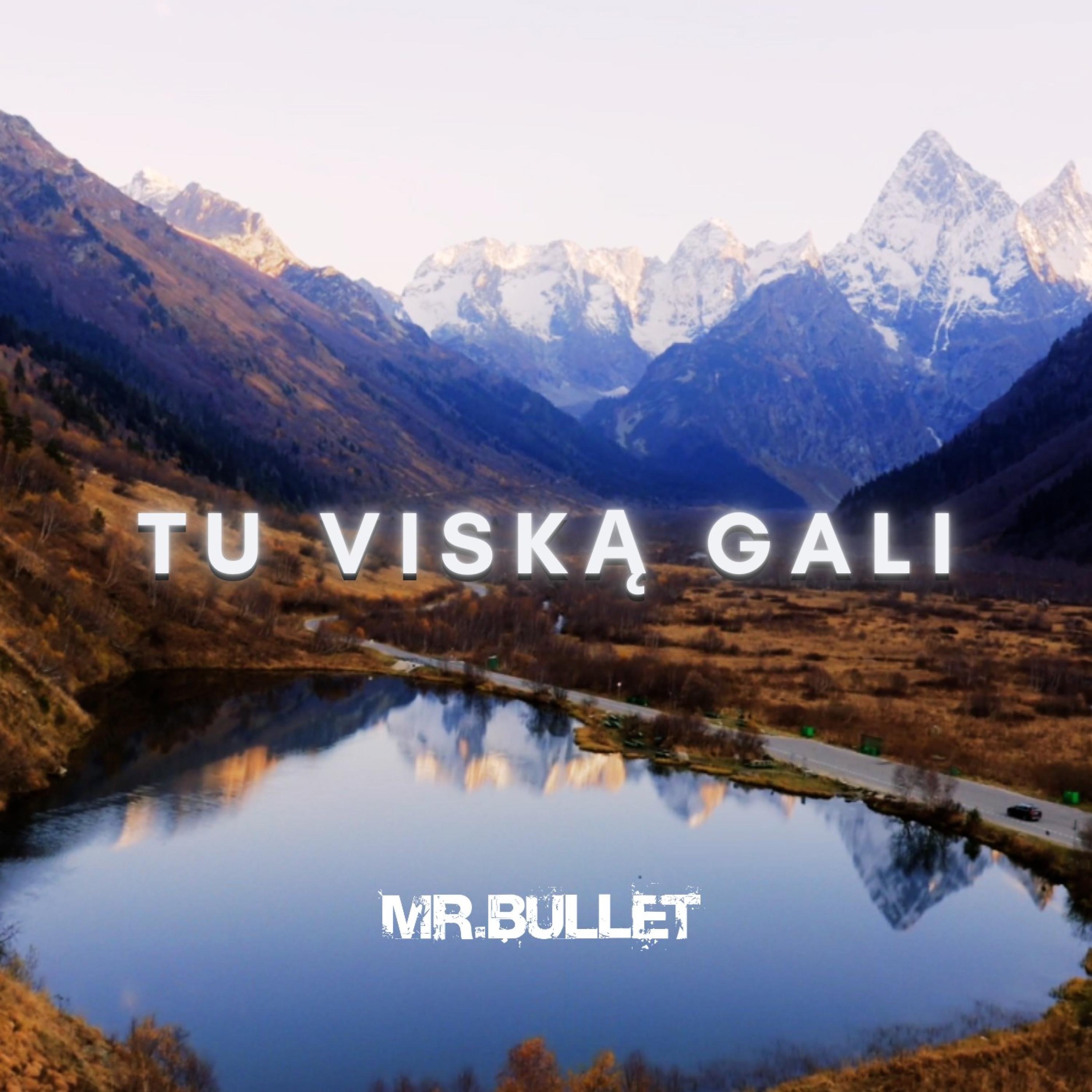 Tu Viską Gali - Single