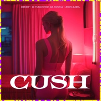 Cush - Single - D'Rody, DJ Tiaguinho da Mooca & Aguillera