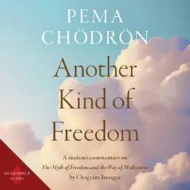 Another Kind of Freedom (Unabridged)
