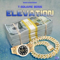 Elevation - Single - T Square Boss
