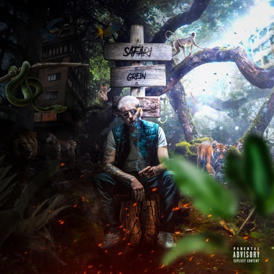 SAFARI - Single