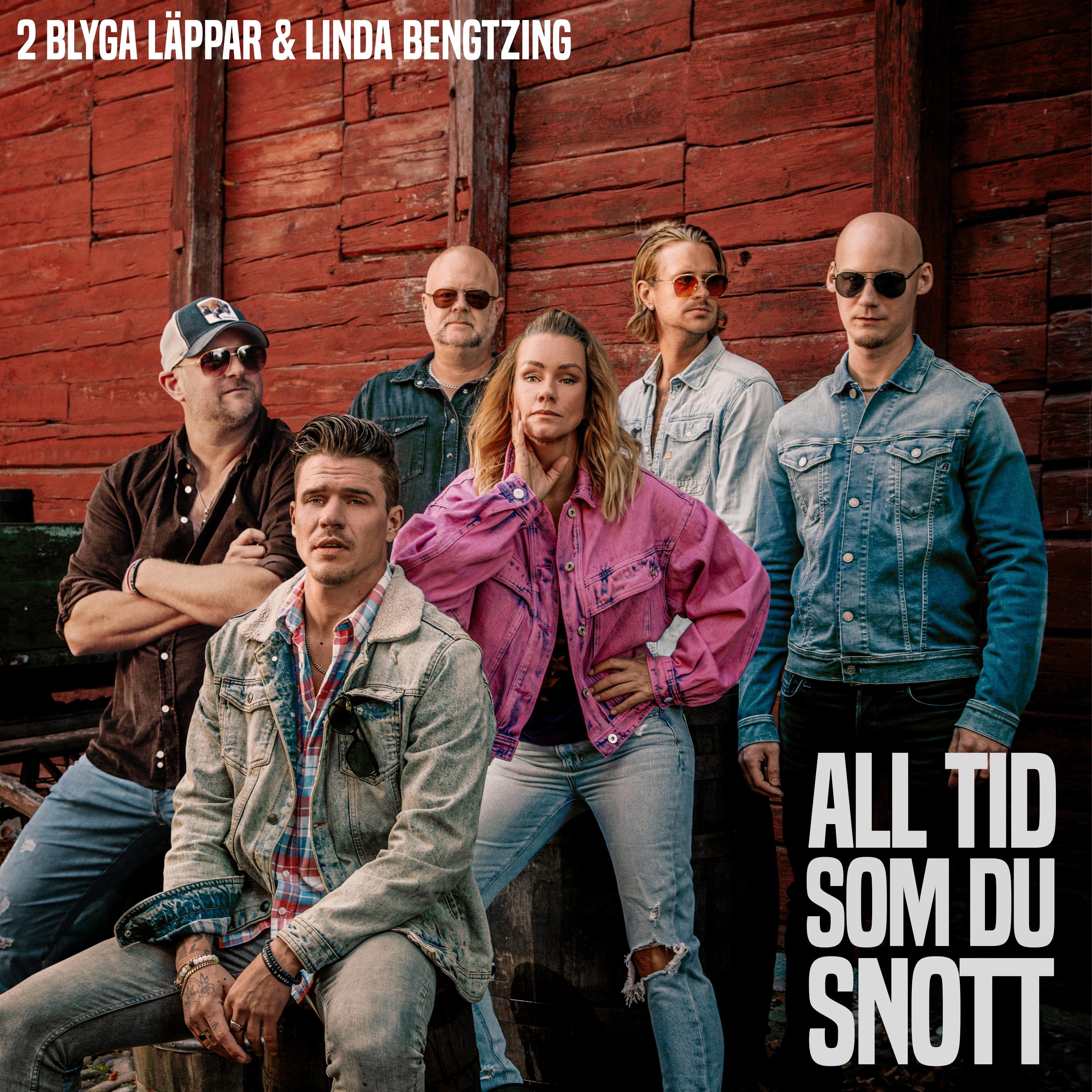 All Tid Som Du Snott - Single