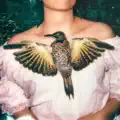 Oiseau migrateur