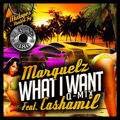 What I Want (feat. Marqulez & CashAMill) - Single