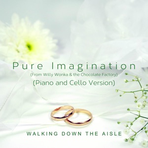 Pure Imagination (From Willy Wonka & the Chocolate Factory) [Piano and Cello Version] - Single
