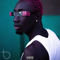 Bipobiso Life Is Highlife - Single - Bosom P-Yung