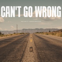 Can't Go Wrong (feat. Andrew Moon Bain) - Single - Don Gadi