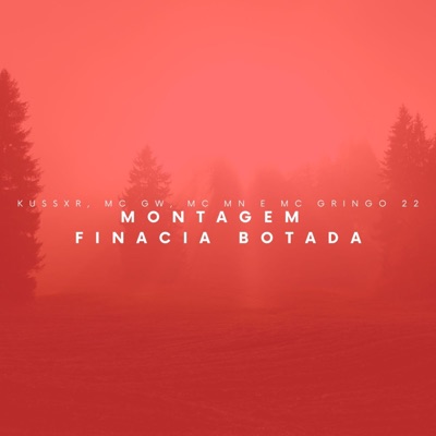 Montagem Financia Botada (feat. mc gringo 22) - EP