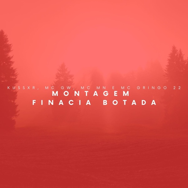 Montagem Financia Botada (feat. mc gringo 22) - EP