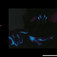 Still Hot (feat. Terror Van Poo) - Single - tons