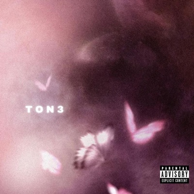 TON3 (feat. Paranuclear & nvrsleep.) - Single