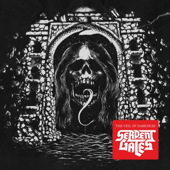 The Veil Of Darkness