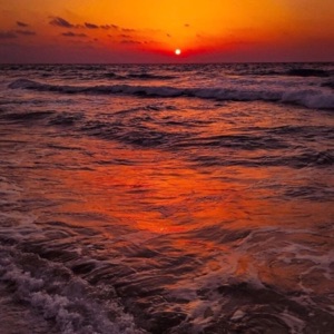 last summer - Single