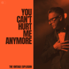 You Can't Hurt Me Anymore - The Vintage Explosion