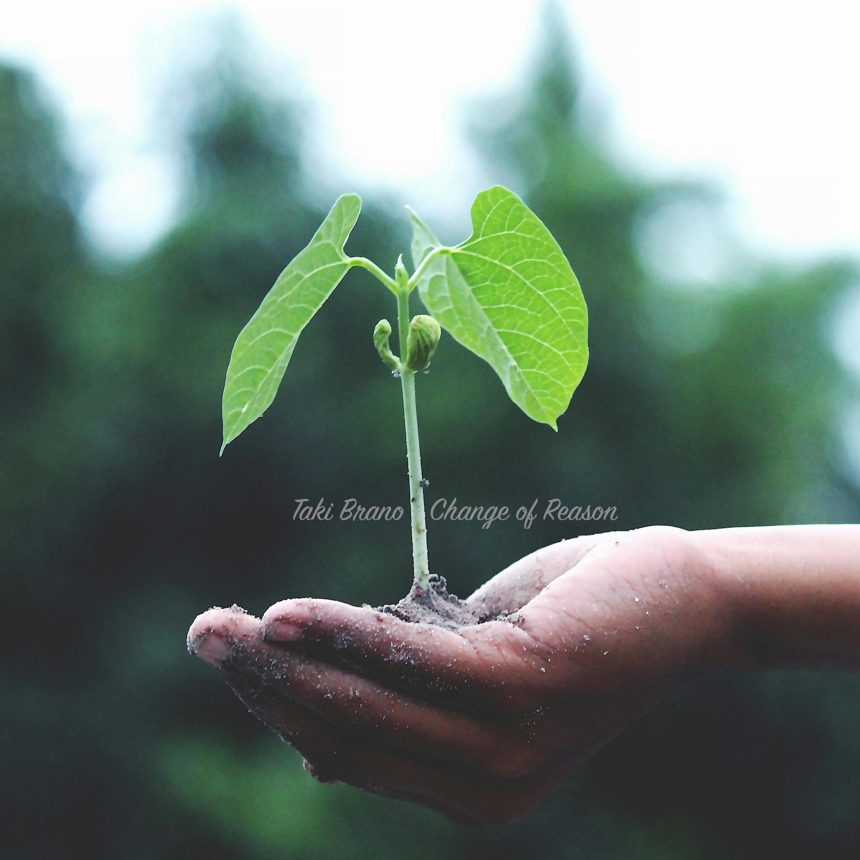 Change Of Reason - Single