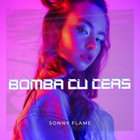Bomba Cu Ceas