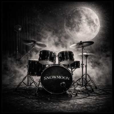 Snowmoon (feat. Mr Postman) - Single