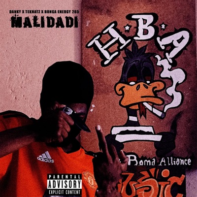 MALIDADI (feat. Teknatz & Bonga Energy265) - Single