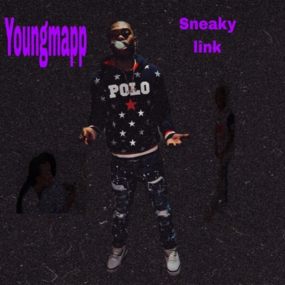 Sneaky link - Single