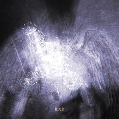 Maintain - Single