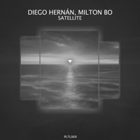 Satellite - Single - Diego Hernan & Milton Bo