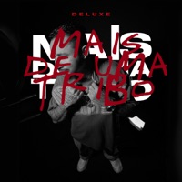 Mais de uma Tribo (Deluxe) - Crônica Mendes
