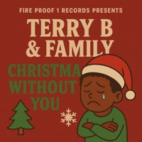 Christmas Without You - Single - Terry B