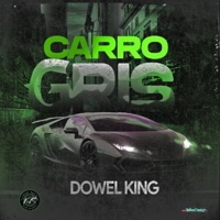 CARRO GRIS - Single - Dowel King