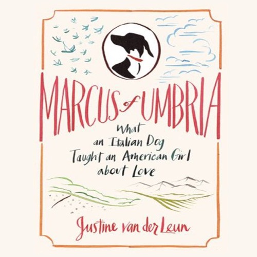 Marcus of Umbria: What an Italian Dog Taught an American Girl About Love (Unabridged) cover