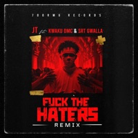 F**k the haters (feat. Kwaku DMC & SRT Gwalla) [Remix] - Single - JT700