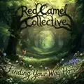 Red Camel Collective - Finding Your Way Home