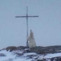 YUCH1 MAD3 1T - EP - yukiyo