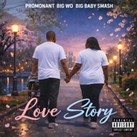 Love Story (feat. BIG WO & Big Baby Smash) - Single - Promonant