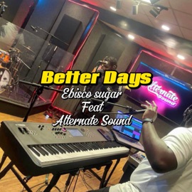 Better Days (feat. Alternate Sound) [Live] Ebisco Sugar