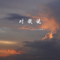对我说 - Single - DJ辉仔
