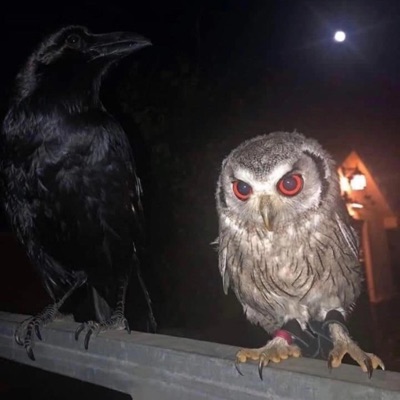 POKER FACE (feat. Futuristic Swaver) - Single