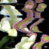 Mounty - Single - Nick Mosh & Dorothe Mosh