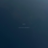 Shy (Aguava Remix) - Single - pianika & Aguava