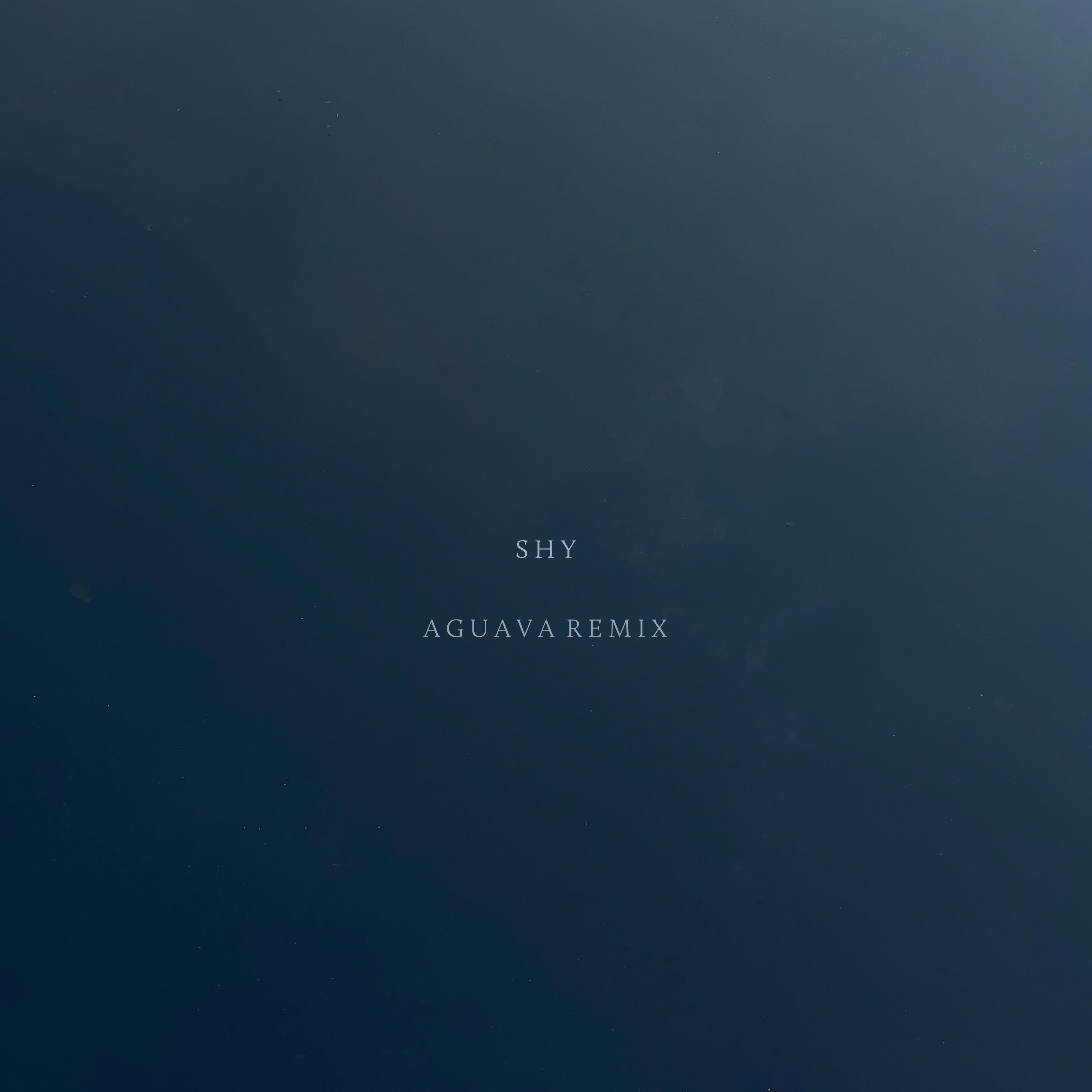 Shy (Aguava Remix) - Single