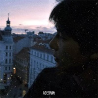 不被珍惜的那个人 - Single - 尾巴的秋