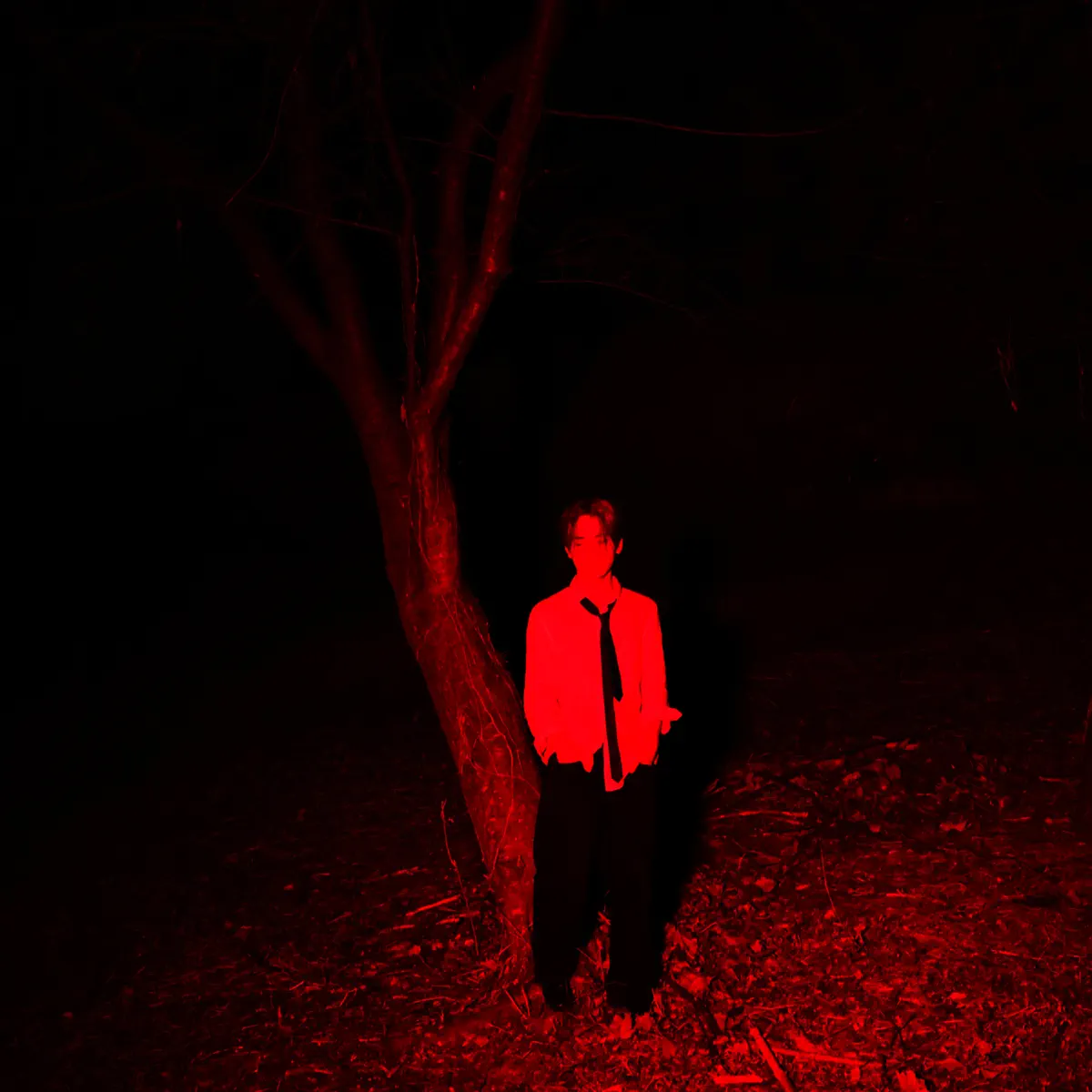 SHIRT - c-a-r-e-l-e-s-s - EP (2024) [iTunes Plus AAC M4A]-新房子