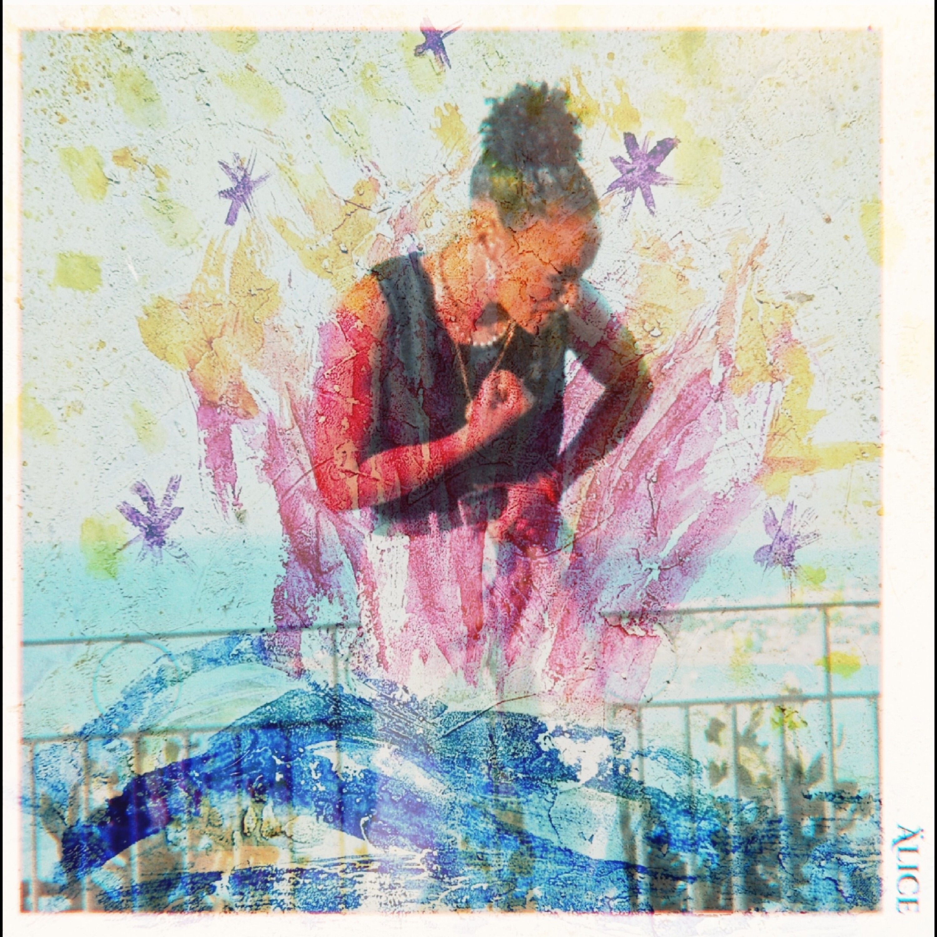 Wo die Mango wächst