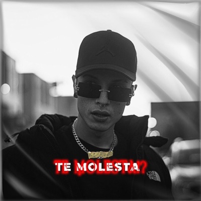 Te Molesta - Single