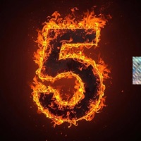 Fear Too Much (feat. T1mi) - Single - Wizard