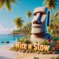 NICE N SLOW