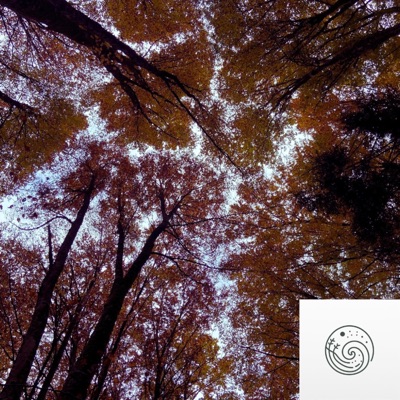Autumn Leaves - Single